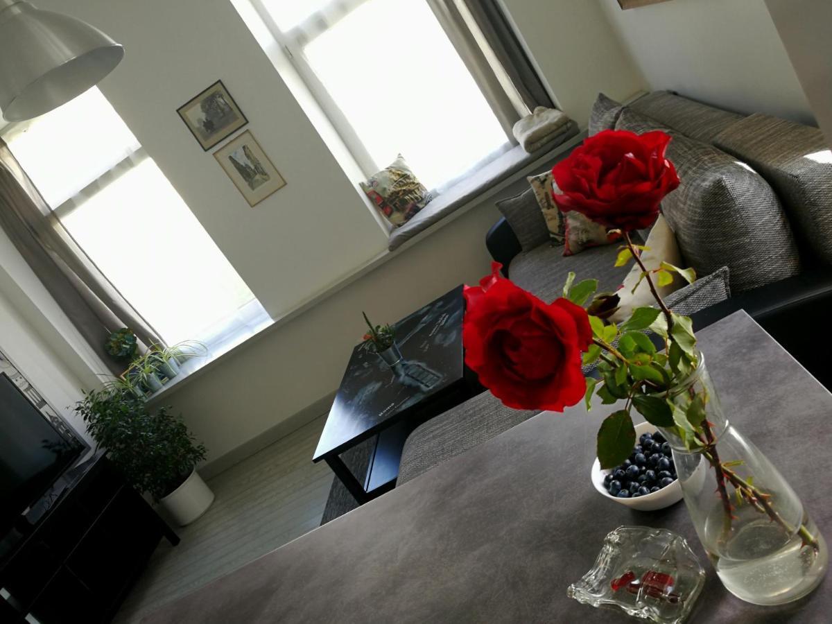 Vilnius Apartment With Stained Glass מראה חיצוני תמונה